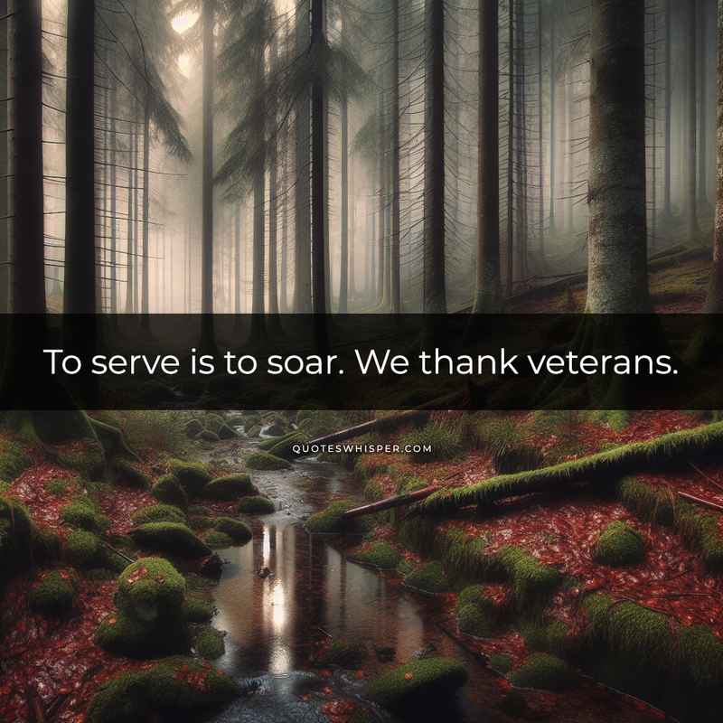 To serve is to soar. We thank veterans.