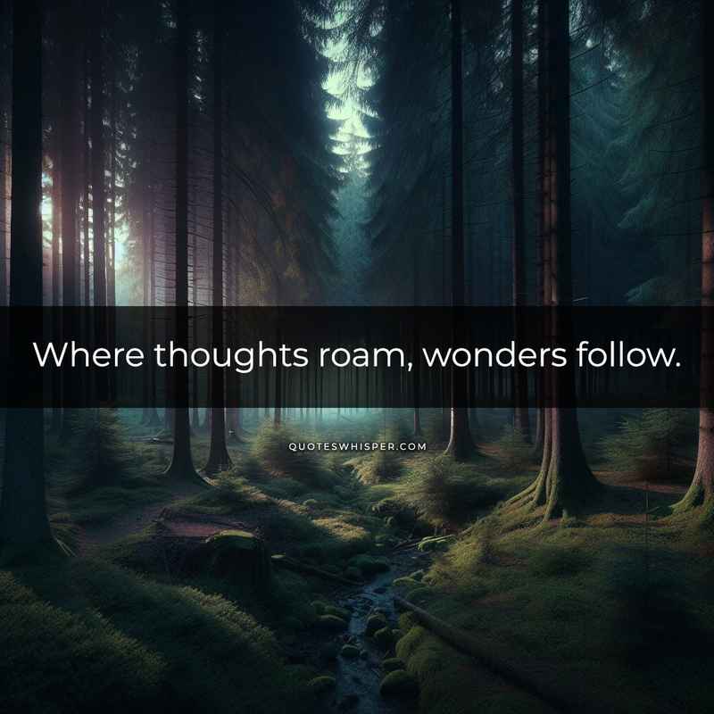 Where thoughts roam, wonders follow.