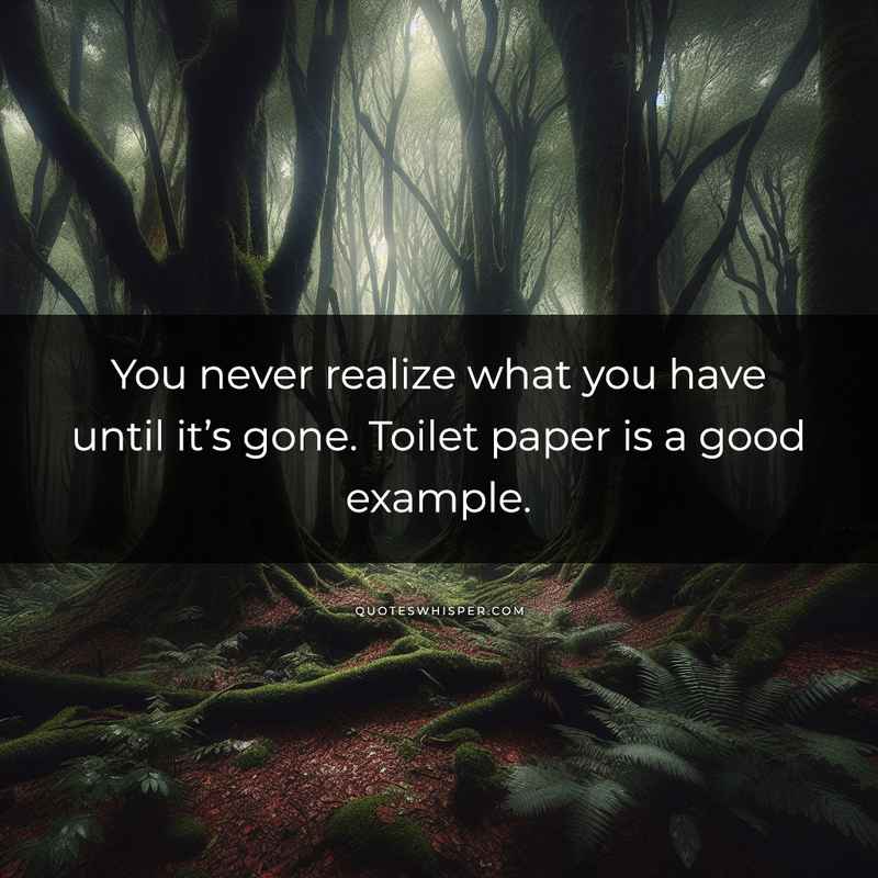 You never realize what you have until it’s gone. Toilet paper is a good example.