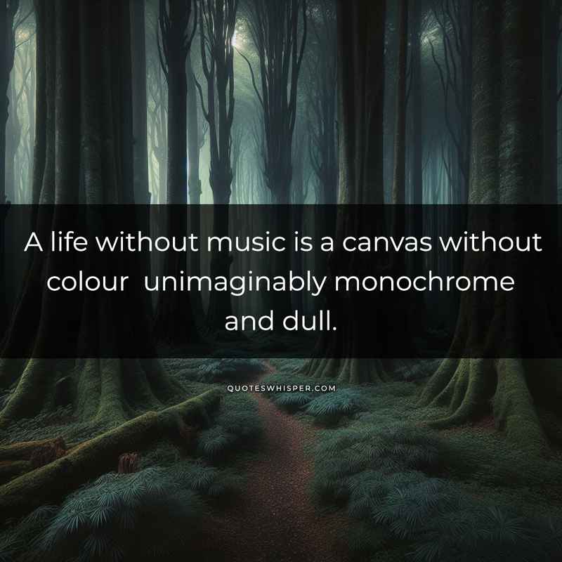 A life without music is a canvas without colour unimaginably monochrome and dull.