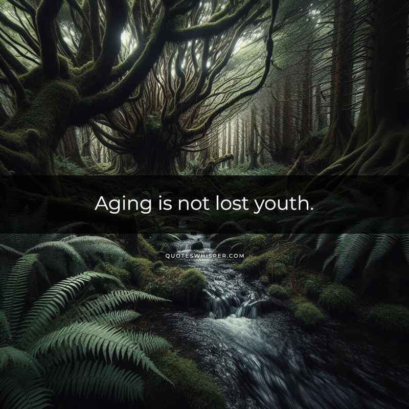 Aging is not lost youth.