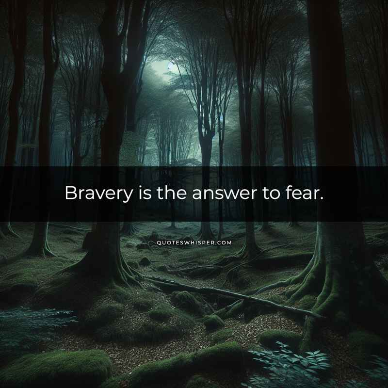 Bravery is the answer to fear.
