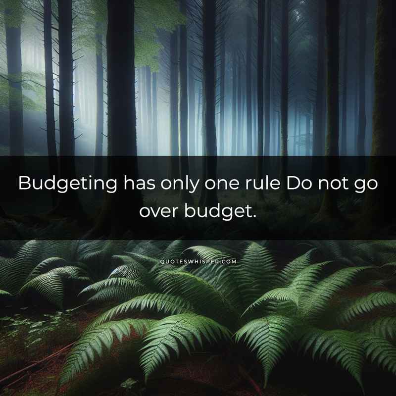 Budgeting has only one rule Do not go over budget.