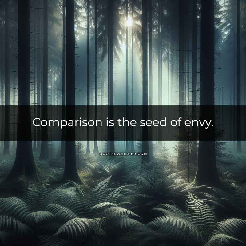 Comparison is the seed of envy.
