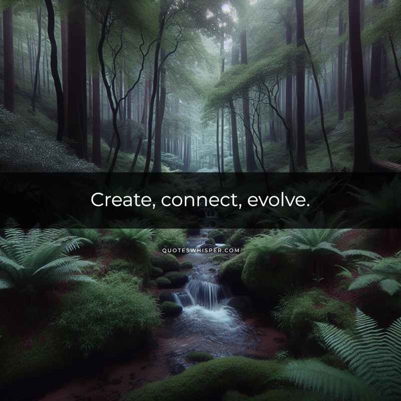 Create, connect, evolve.