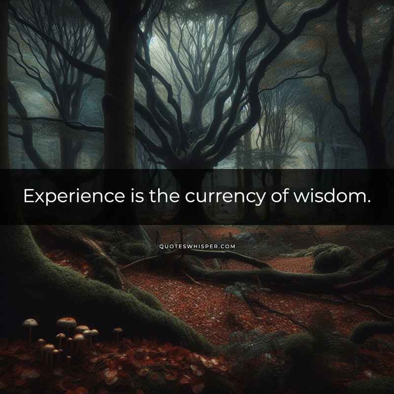 Experience is the currency of wisdom.