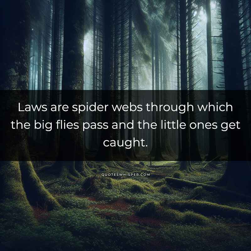 Laws are spider webs through which the big flies pass and the little ones get caught.