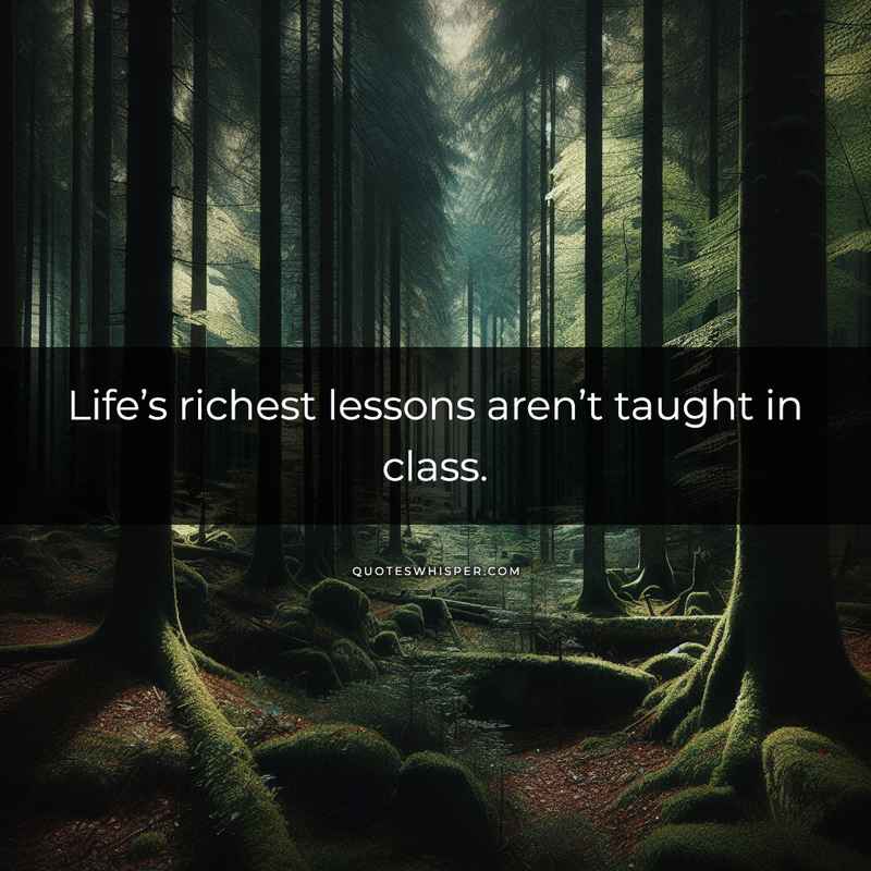 Life’s richest lessons aren’t taught in class.
