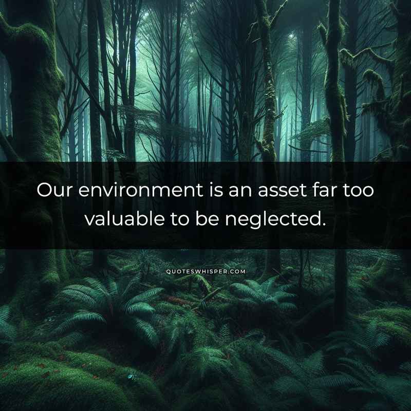 Our environment is an asset far too valuable to be neglected.