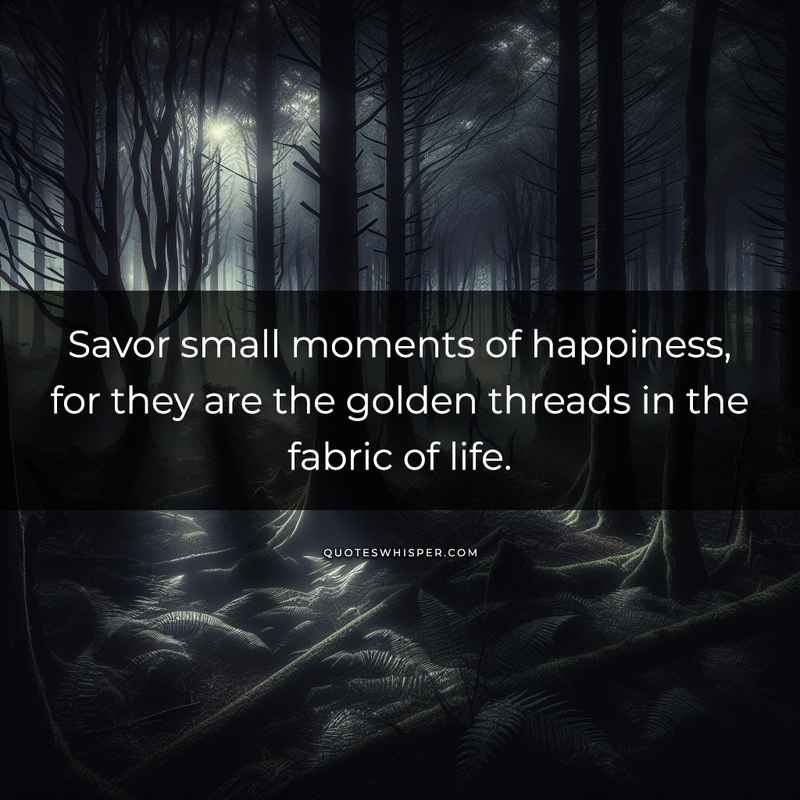 Savor small moments of happiness, for they are the golden threads in the fabric of life.