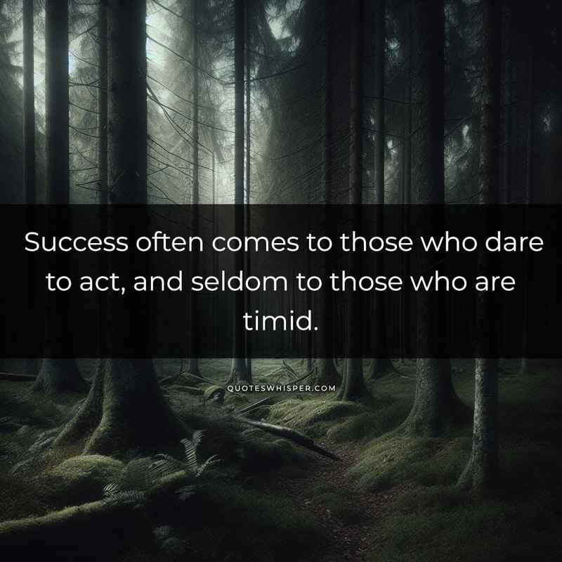 Success often comes to those who dare to act, and seldom to those who are timid.