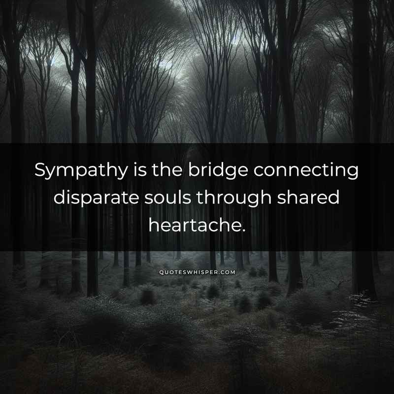 Sympathy is the bridge connecting disparate souls through shared heartache.