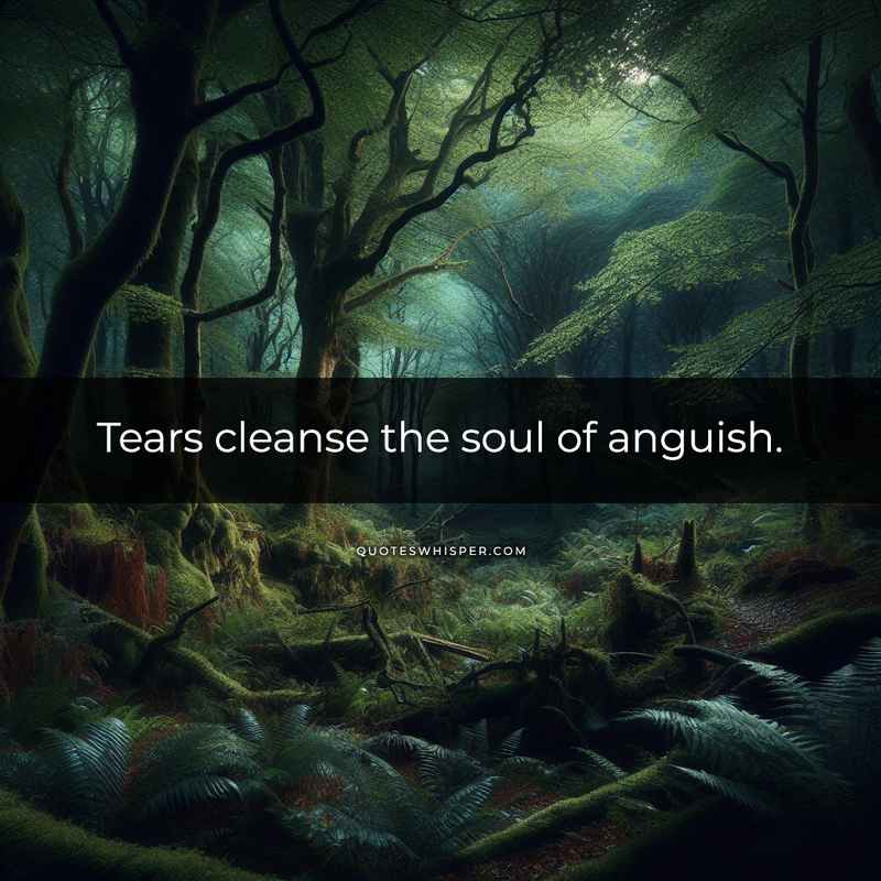 Tears cleanse the soul of anguish.