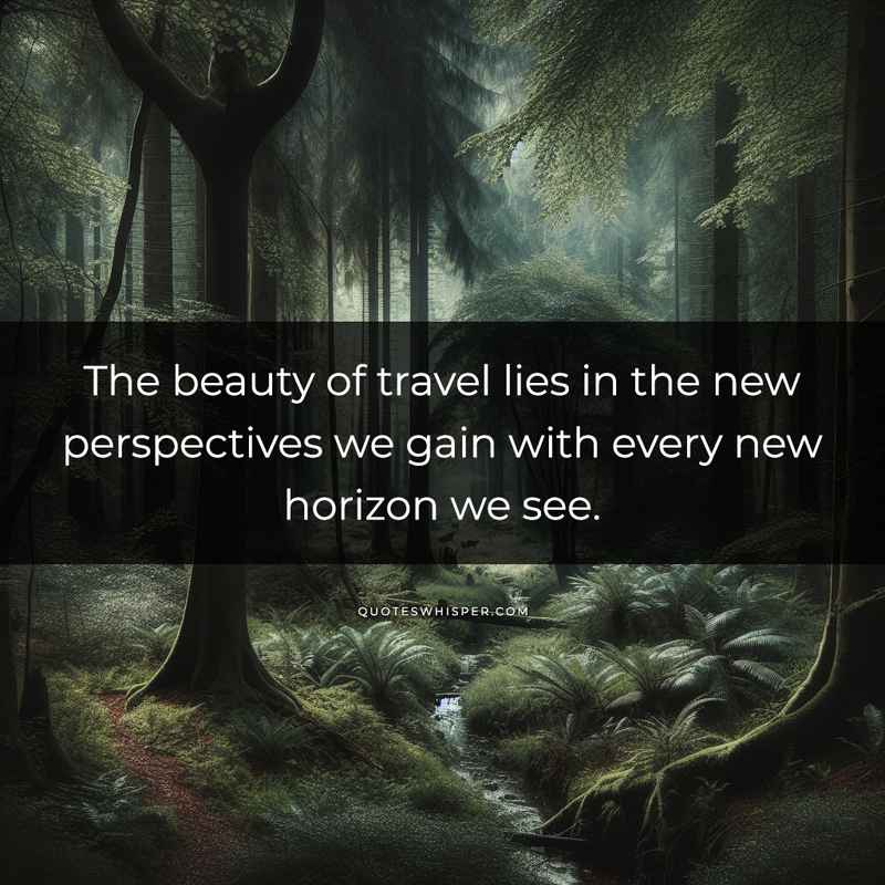 The beauty of travel lies in the new perspectives we gain with every new horizon we see.