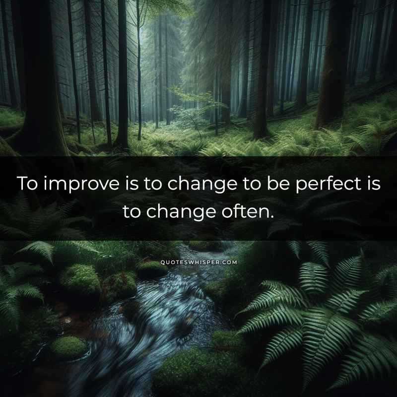To improve is to change to be perfect is to change often.