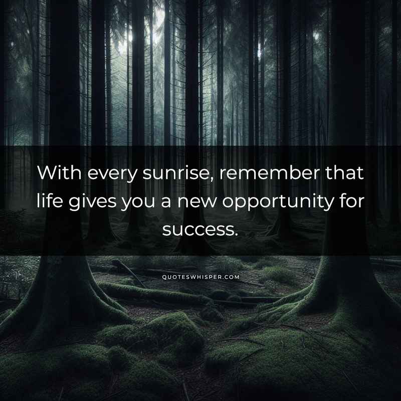 With every sunrise, remember that life gives you a new opportunity for success.
