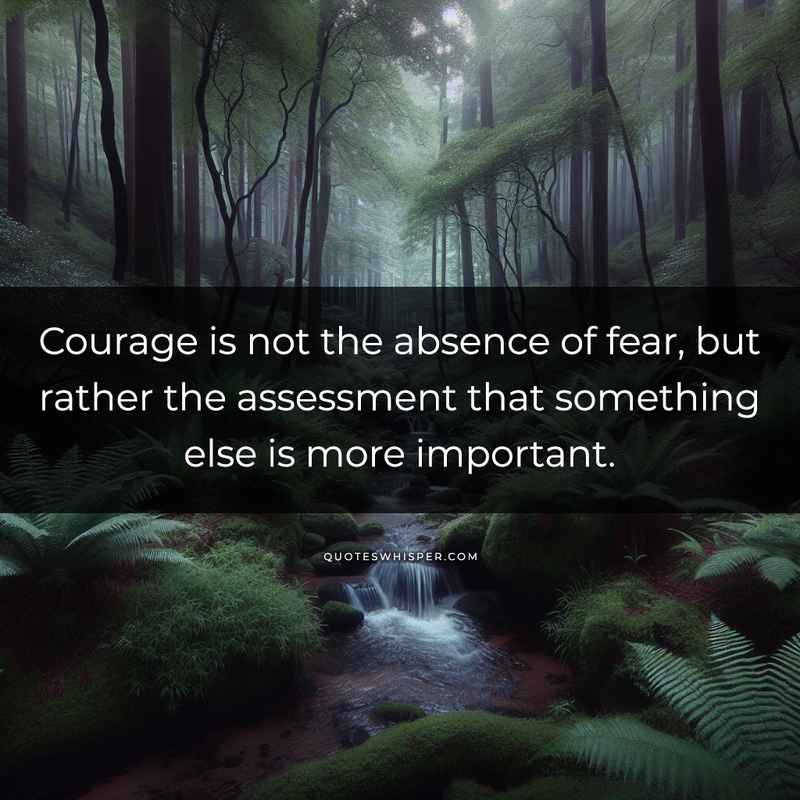 Courage is not the absence of fear, but rather the assessment that something else is more important.