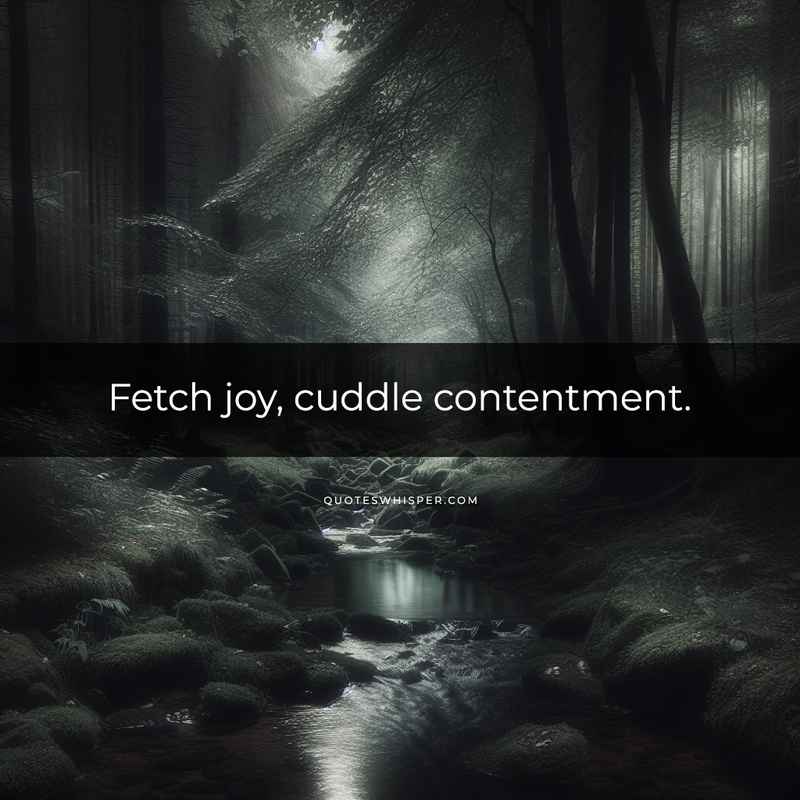 Fetch joy, cuddle contentment.