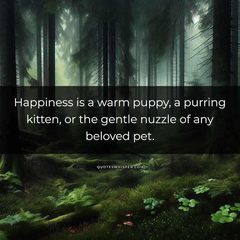 Happiness is a warm puppy, a purring kitten, or the gentle nuzzle of any beloved pet.
