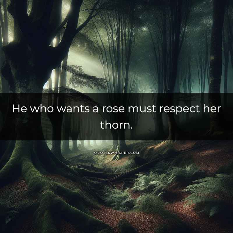 He who wants a rose must respect her thorn.
