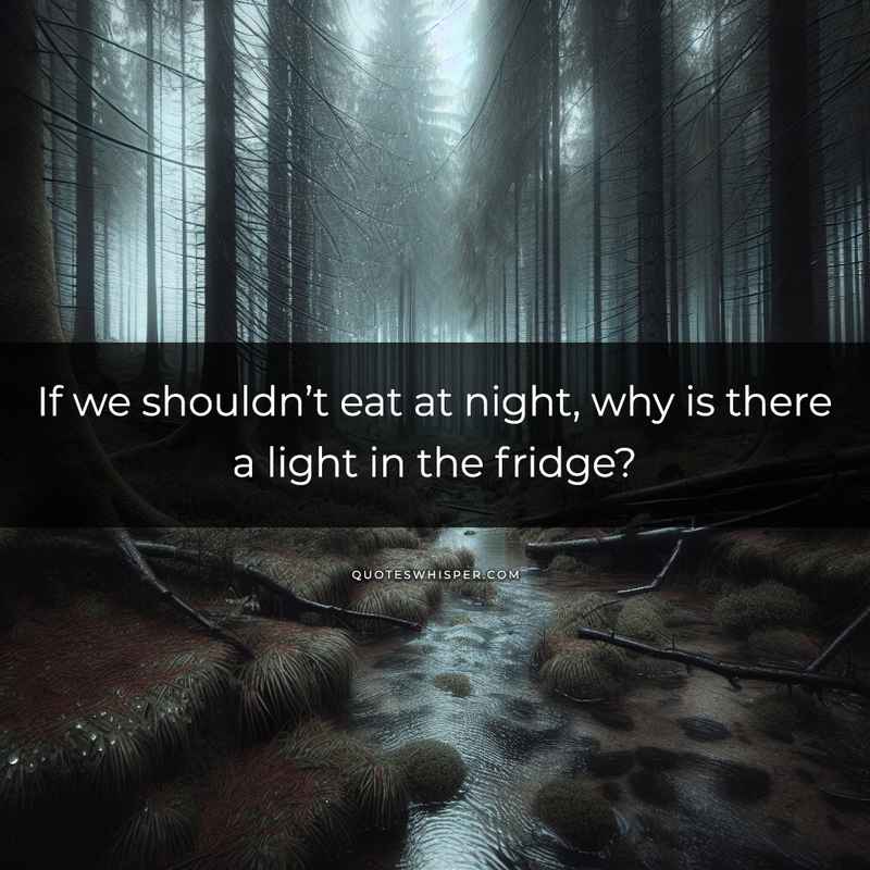 If we shouldn’t eat at night, why is there a light in the fridge?