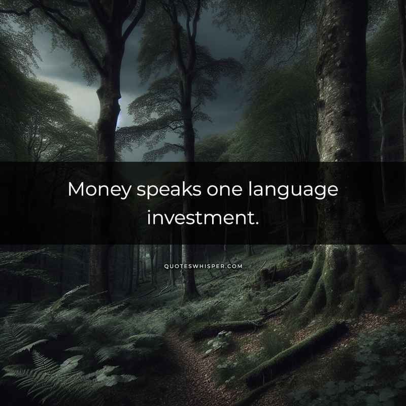 Money speaks one language investment.