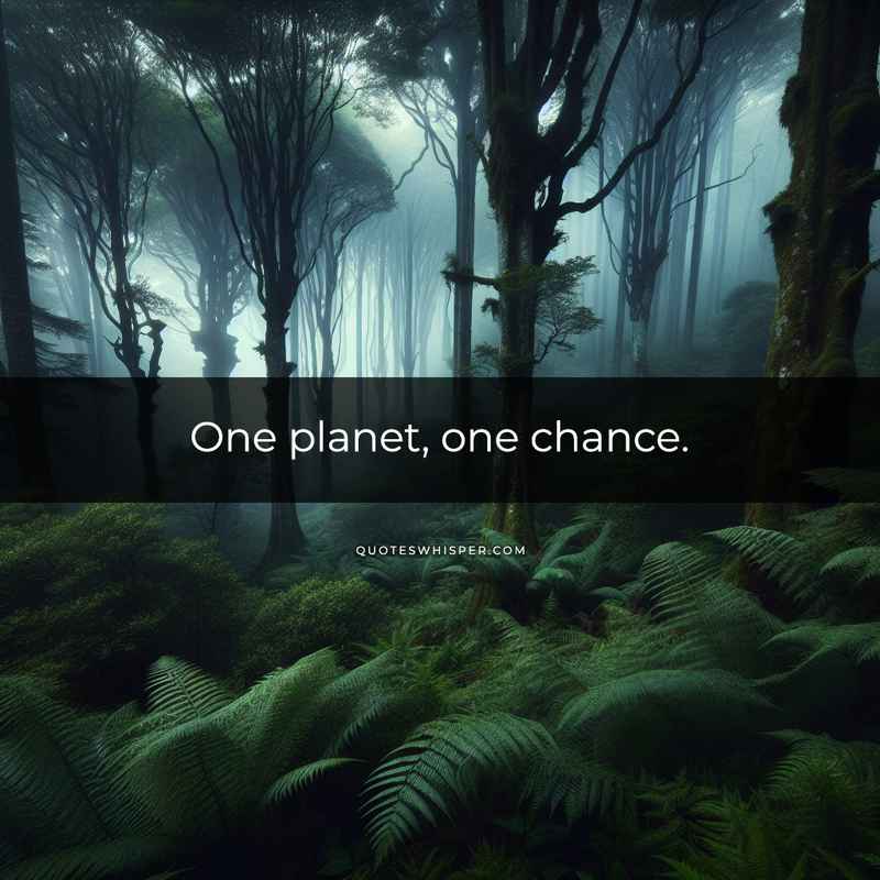 One planet, one chance.