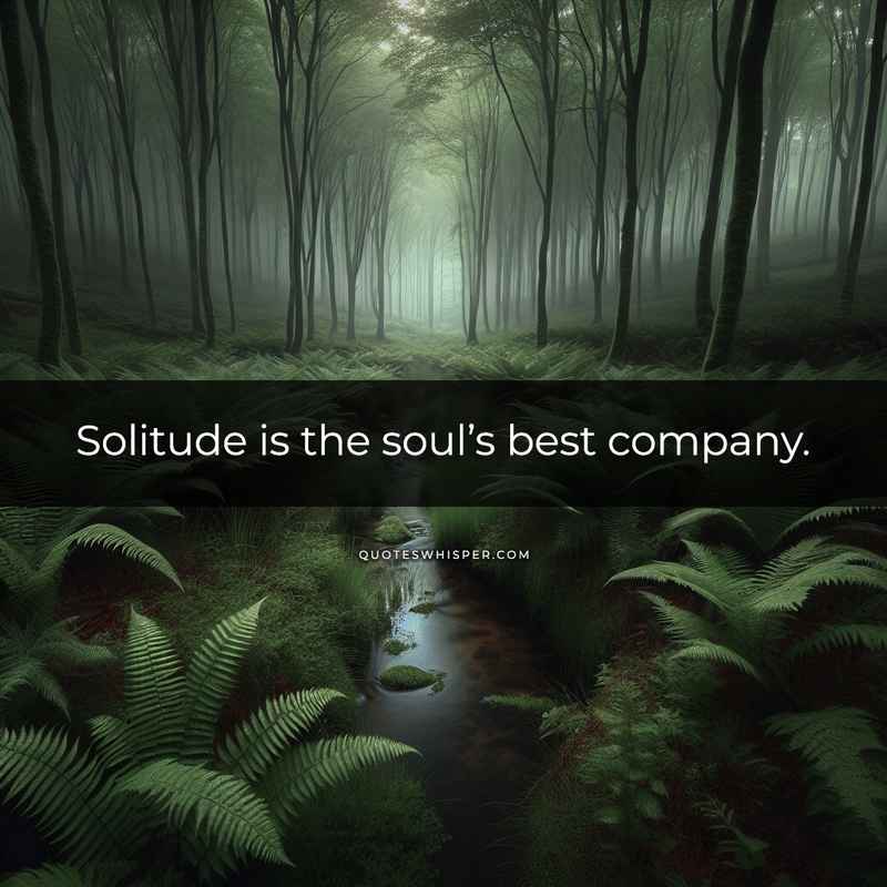 Solitude is the soul’s best company.