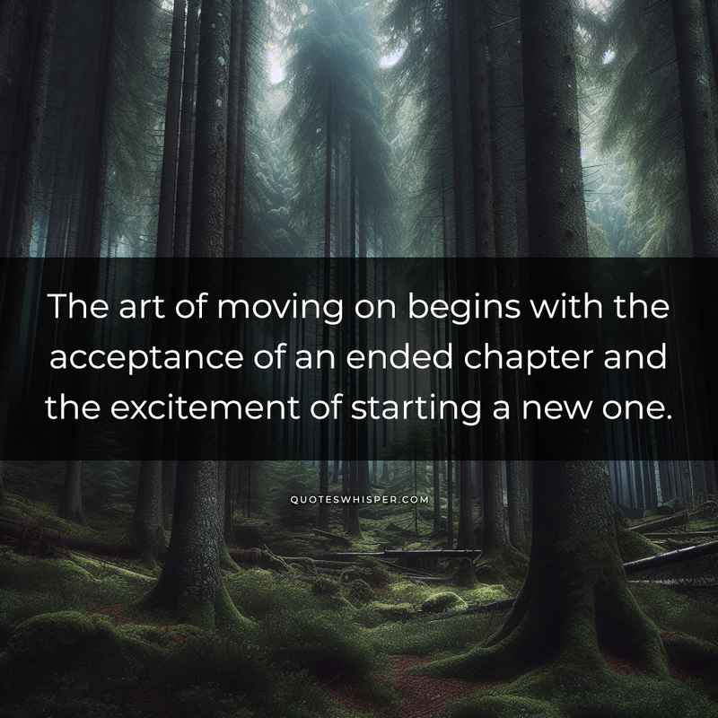 The art of moving on begins with the acceptance of an ended chapter and the excitement of starting a new one.
