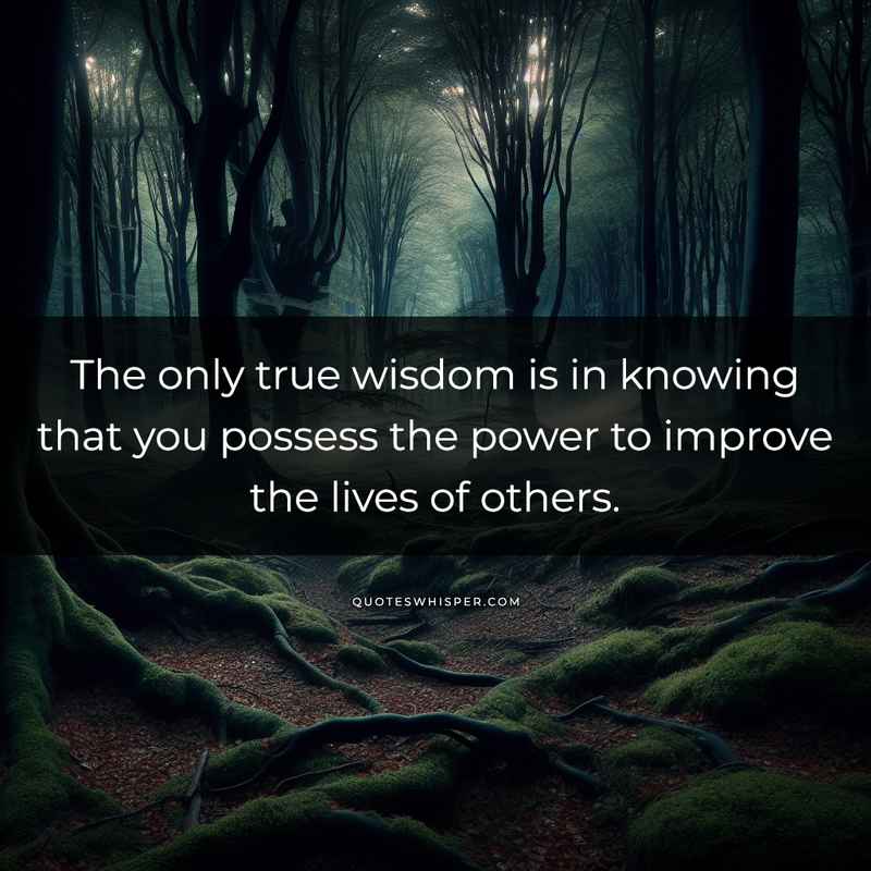 The only true wisdom is in knowing that you possess the power to improve the lives of others.