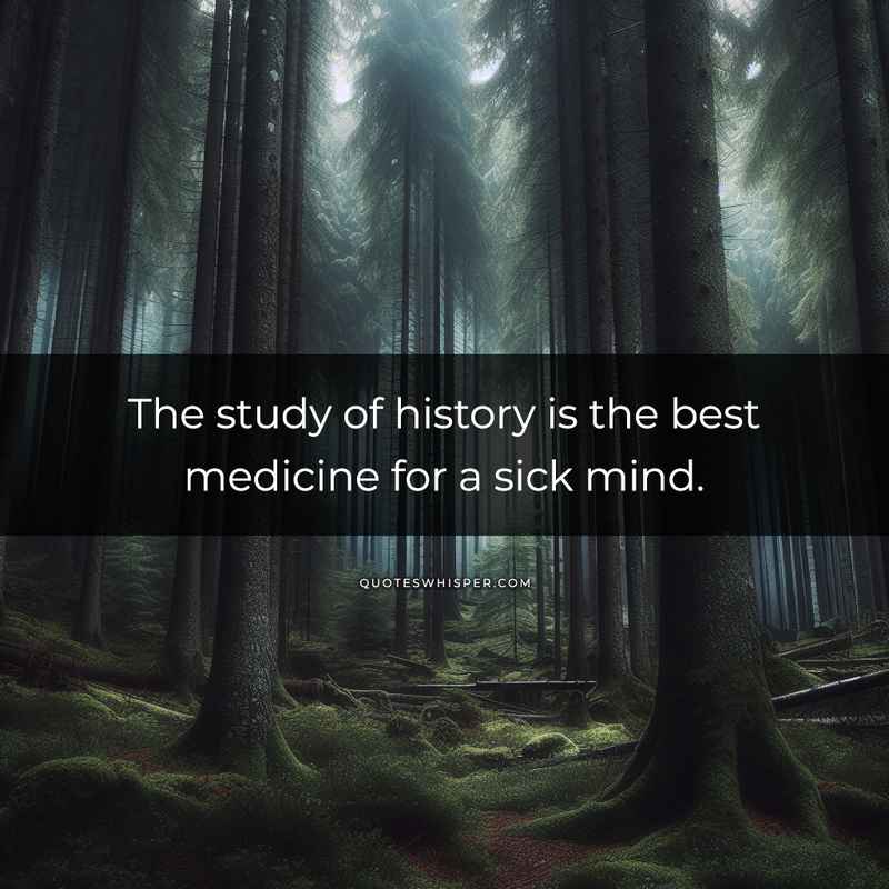 The study of history is the best medicine for a sick mind.