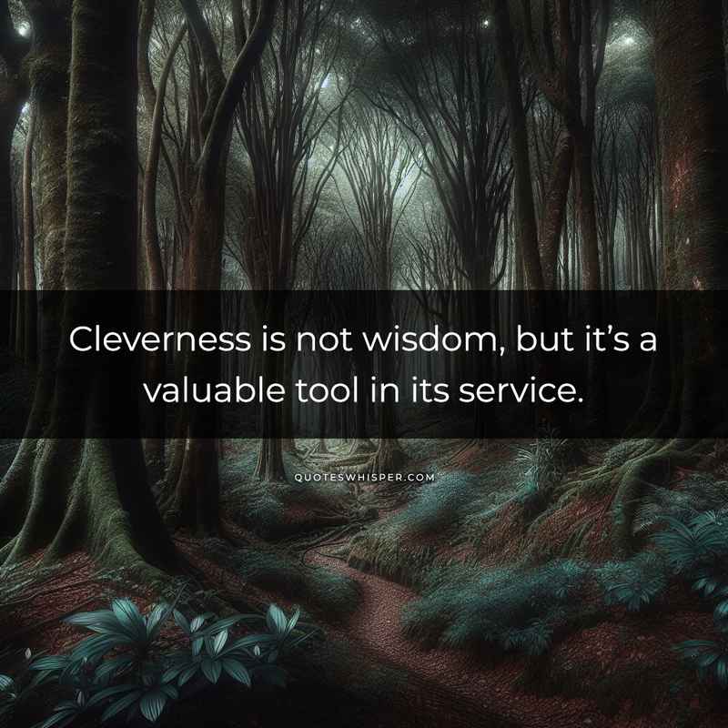 Cleverness is not wisdom, but it’s a valuable tool in its service.