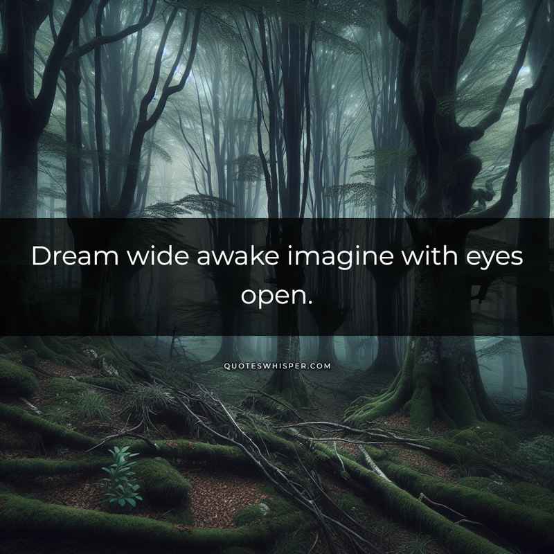 Dream wide awake imagine with eyes open.