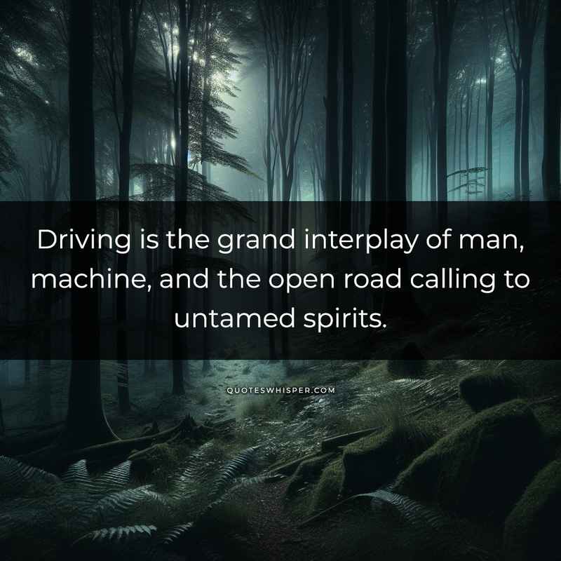 Driving is the grand interplay of man, machine, and the open road calling to untamed spirits.