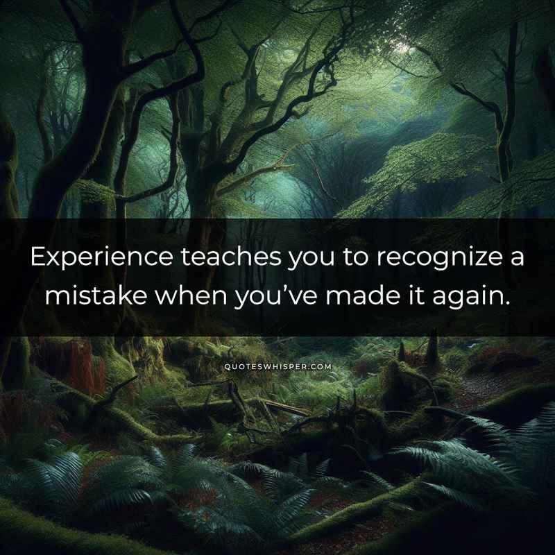 Experience teaches you to recognize a mistake when you’ve made it again.