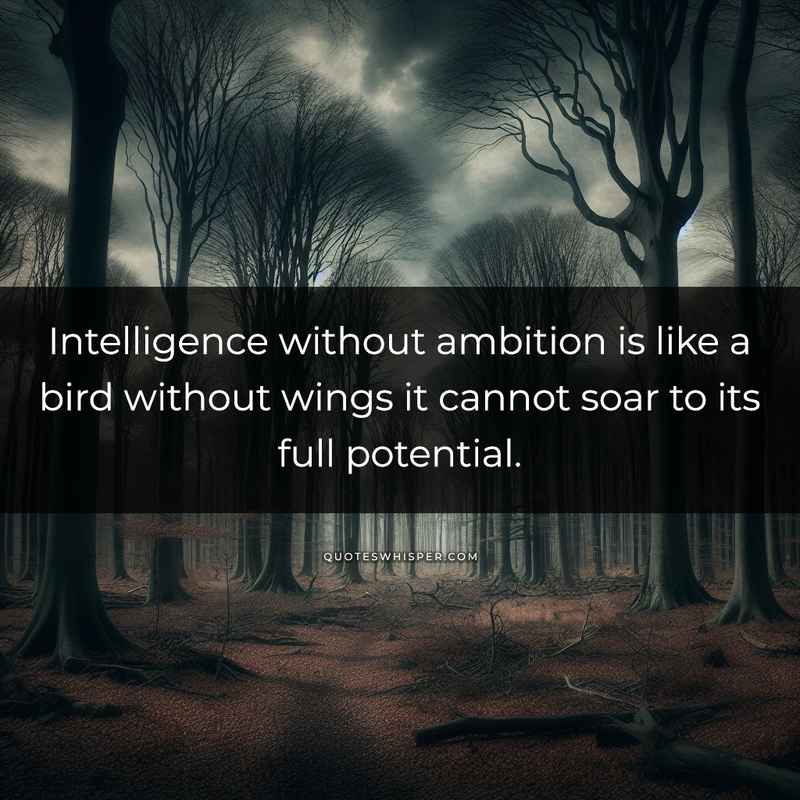 Intelligence without ambition is like a bird without wings it cannot soar to its full potential.