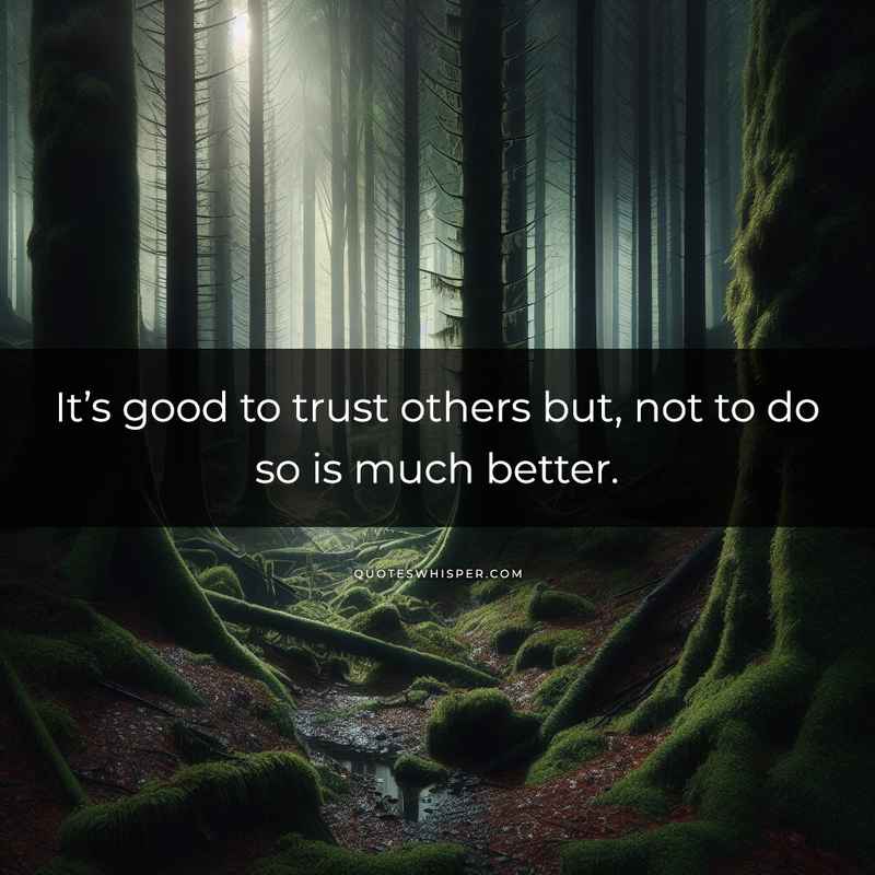 It’s good to trust others but, not to do so is much better.