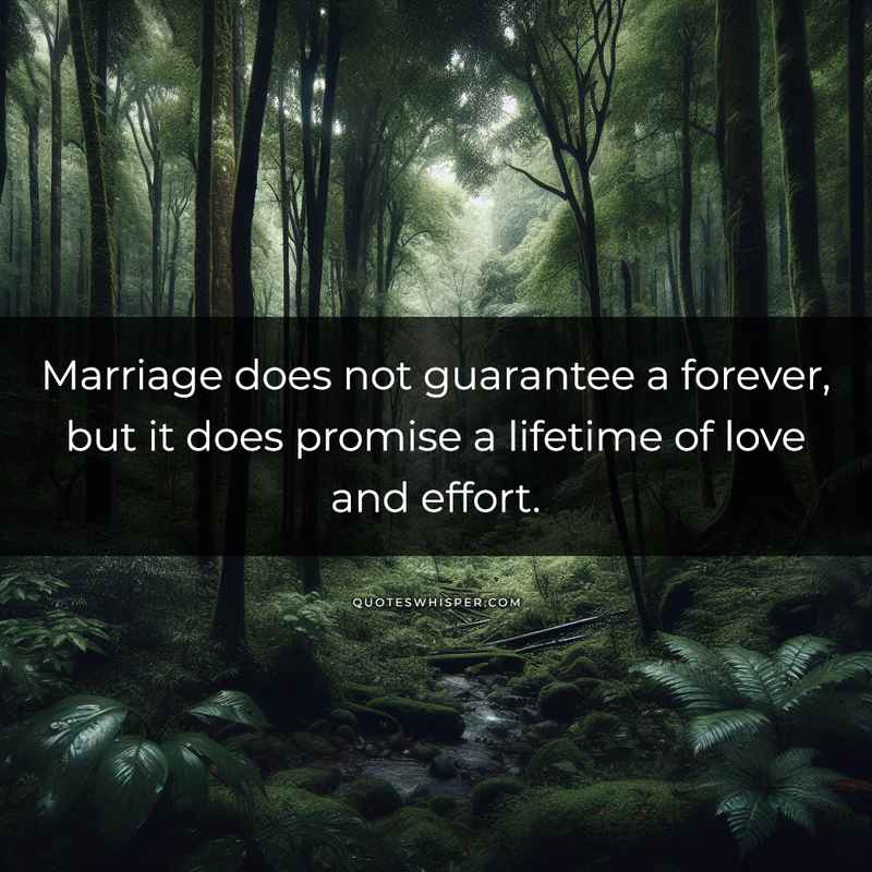 Marriage does not guarantee a forever, but it does promise a lifetime of love and effort.