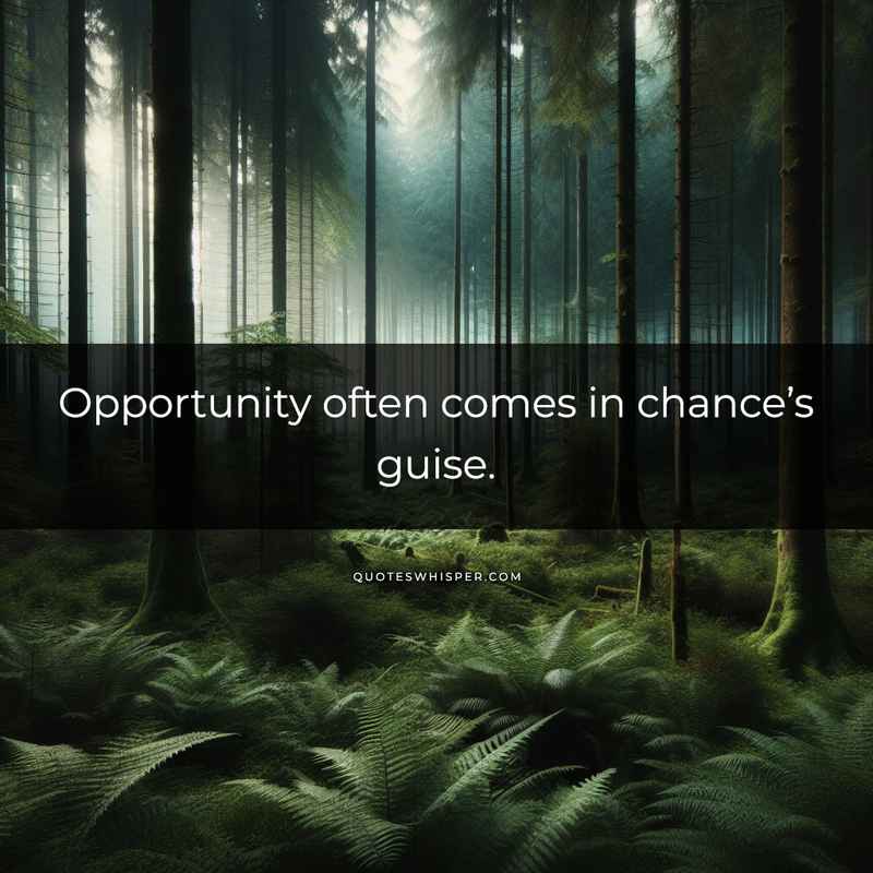 Opportunity often comes in chance’s guise.
