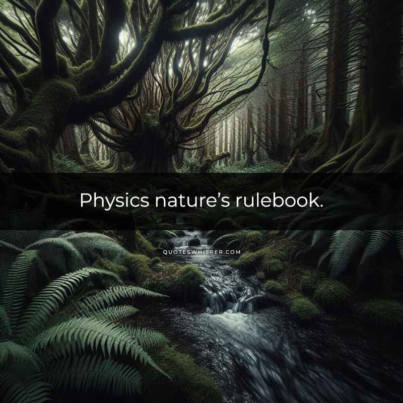 Physics nature’s rulebook.