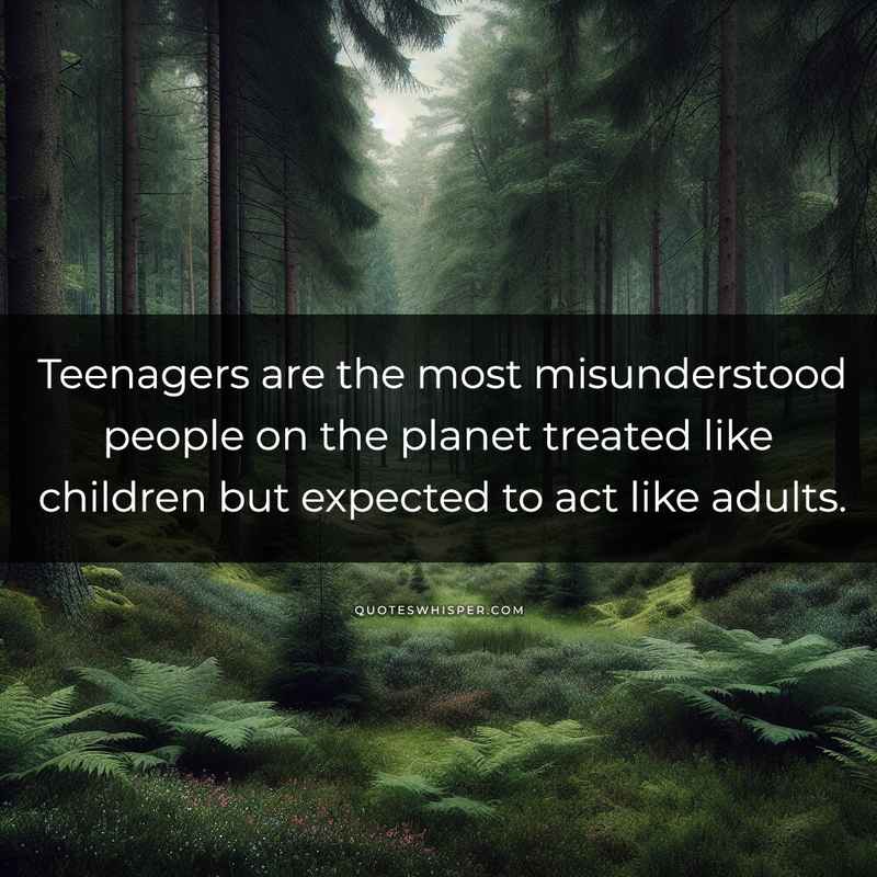 Teenagers are the most misunderstood people on the planet treated like children but expected to act like adults.