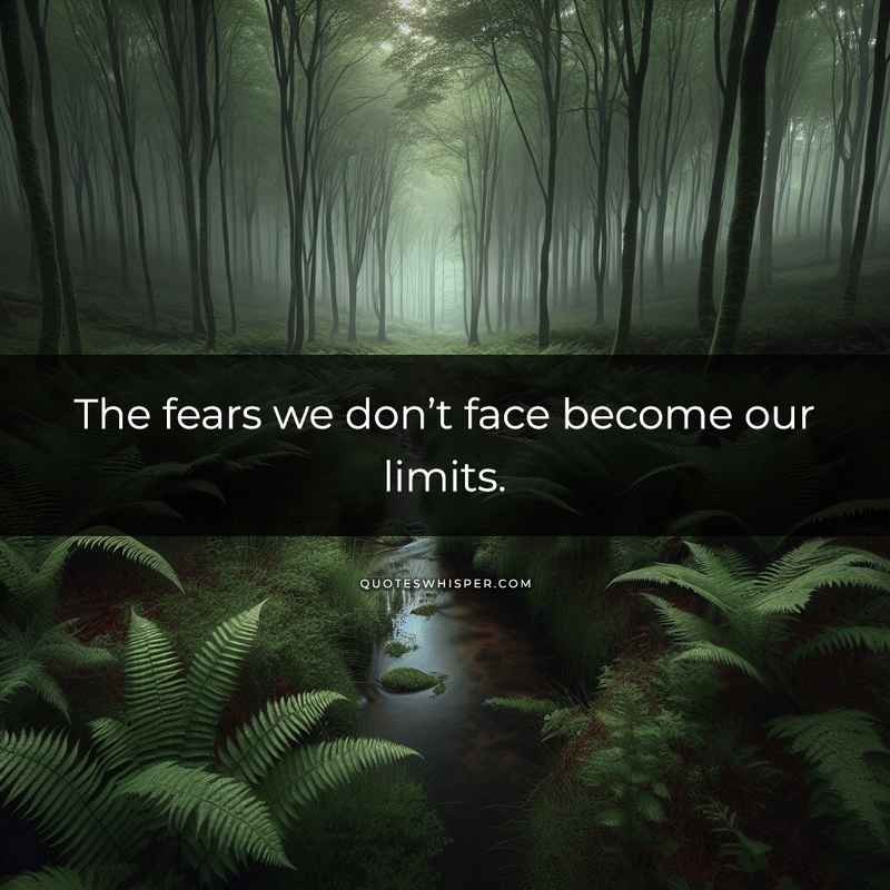 The fears we don’t face become our limits.