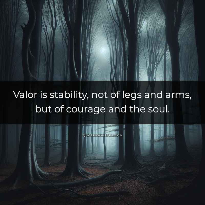 Valor is stability, not of legs and arms, but of courage and the soul.