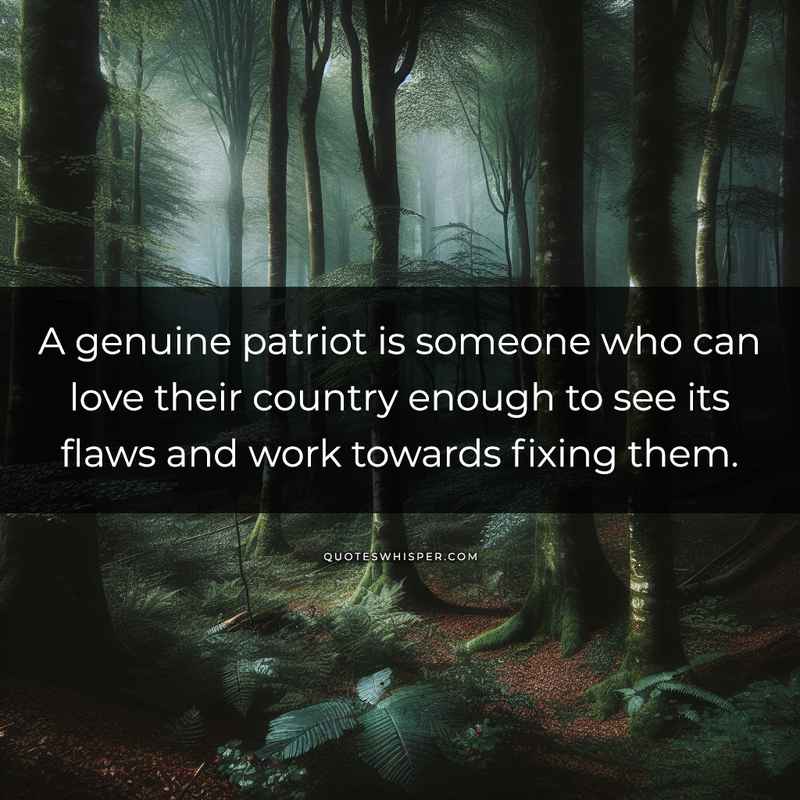 A genuine patriot is someone who can love their country enough to see its flaws and work towards fixing them.