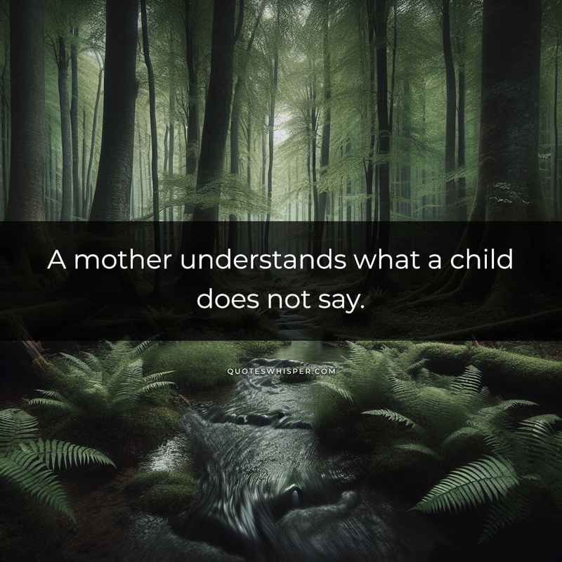A mother understands what a child does not say.