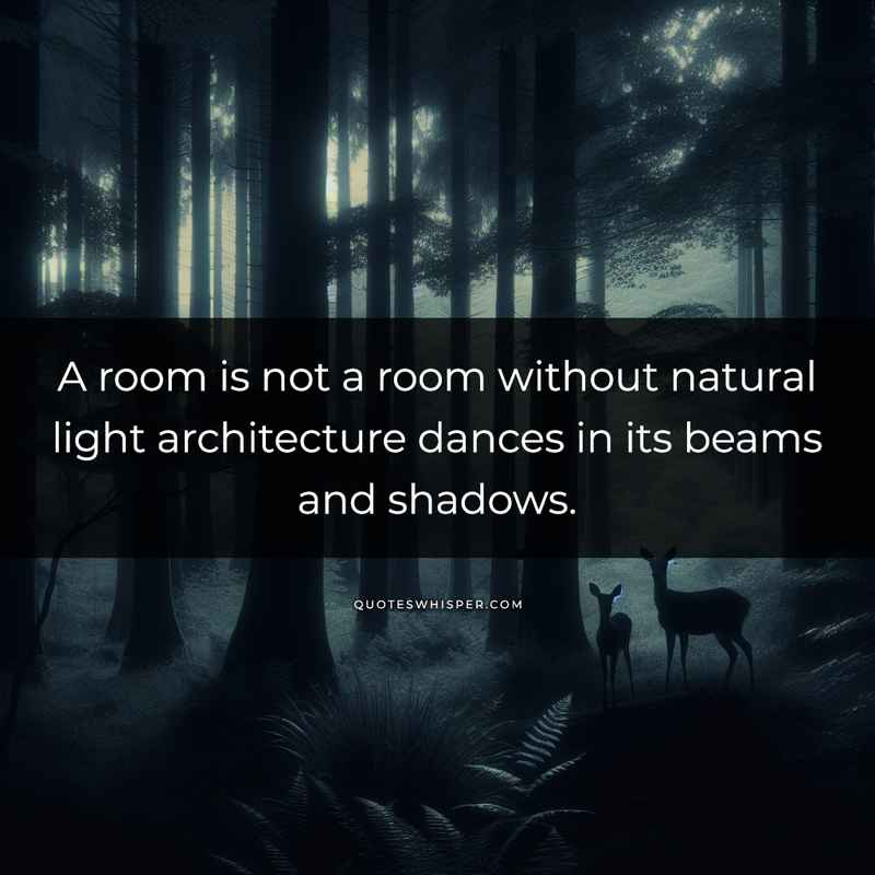 A room is not a room without natural light architecture dances in its beams and shadows.