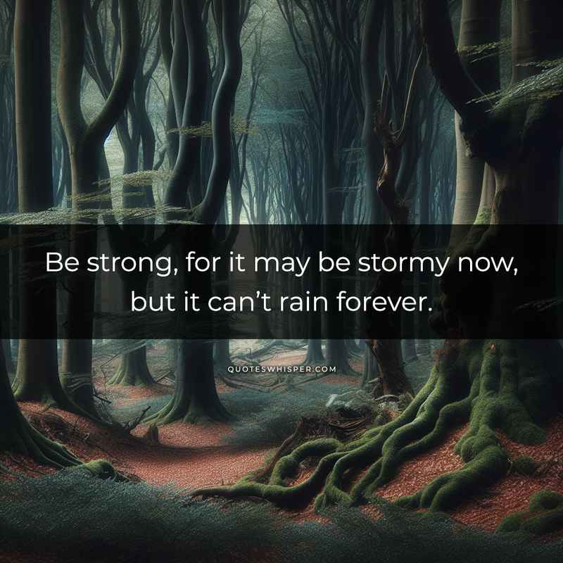Be strong, for it may be stormy now, but it can’t rain forever.