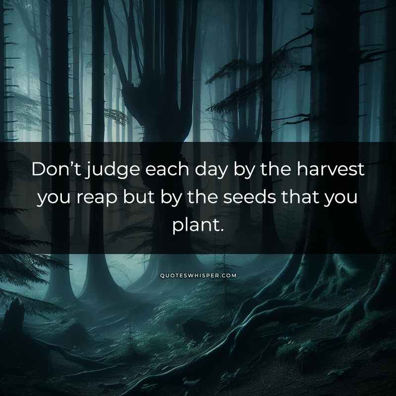 Don’t judge each day by the harvest you reap but by the seeds that you plant.