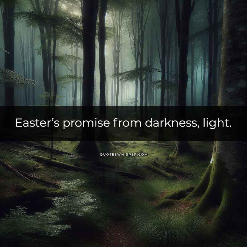 Easter’s promise from darkness, light.
