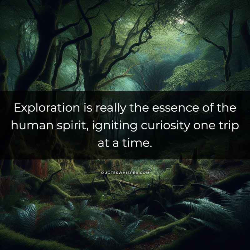 Exploration is really the essence of the human spirit, igniting curiosity one trip at a time.